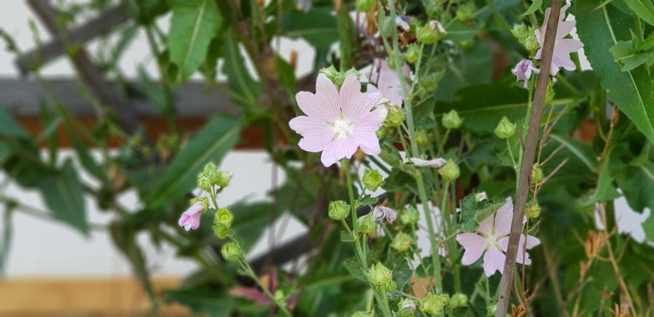 Ferienwohnung Bader Bolsterlang Bagian luar foto